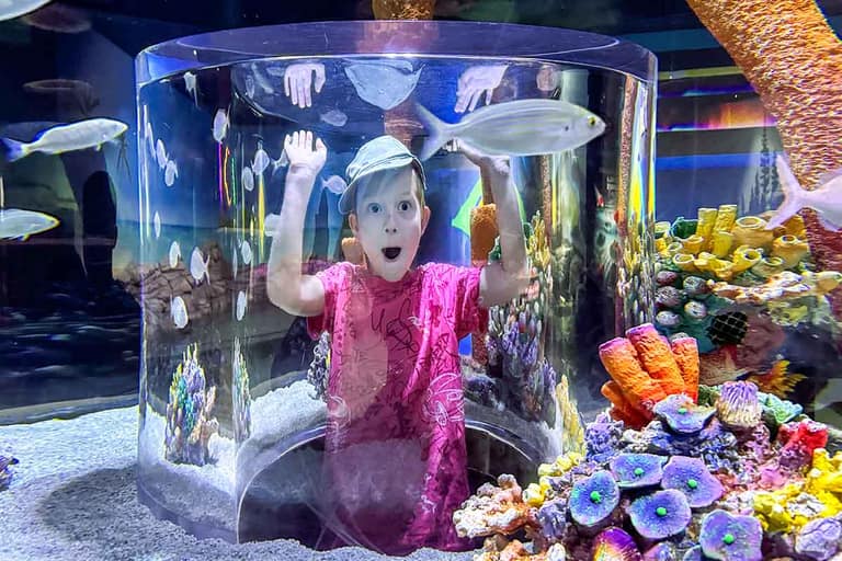 Trabzon Aquarium Entrance Ticket 