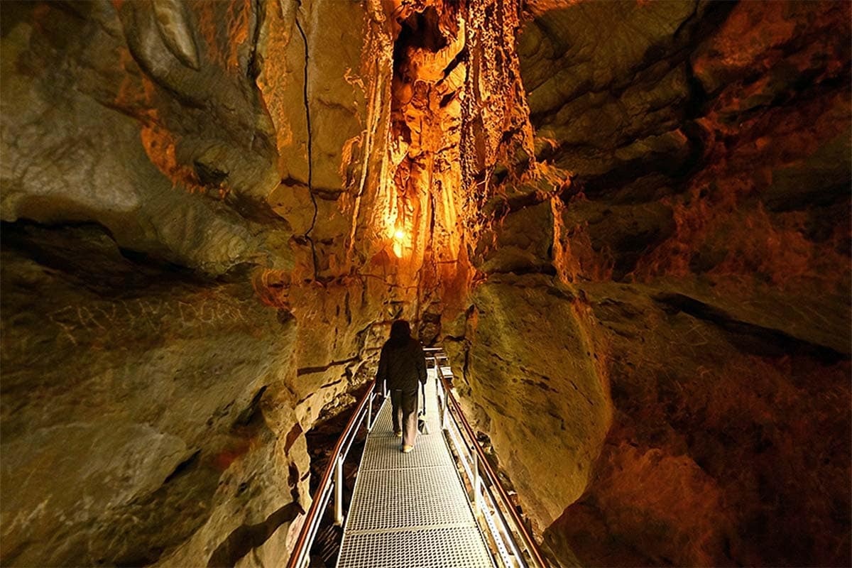 Trabzon: Hıdırnebi Plateau & Çal Cave Day Tour