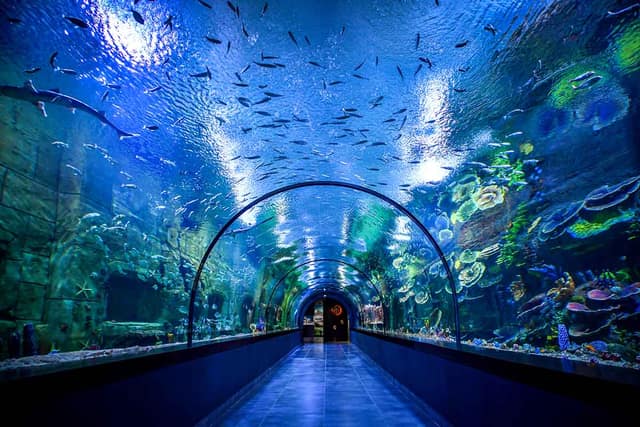 Trabzon Aquarium Entrance Ticket