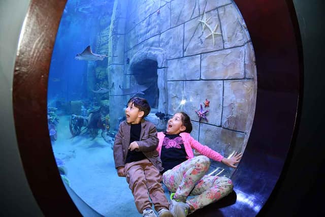 Trabzon Aquarium Entrance Ticket