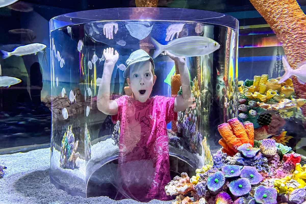 Trabzon Aquarium Entrance Ticket